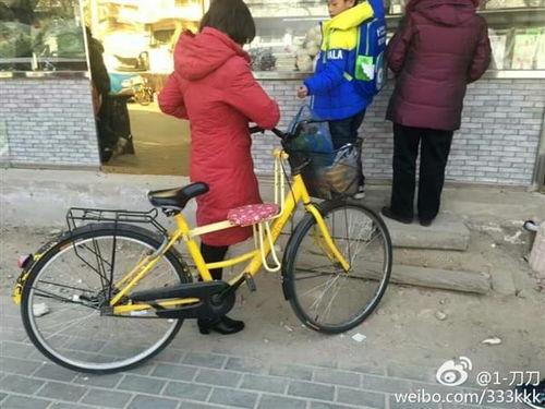 石家庄单车爆料案件最新,真相与争议交织的骑行疑云