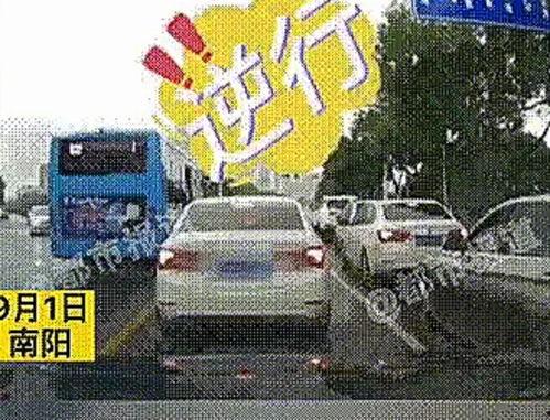 河南各市爆料事件最新,民生安全引关注